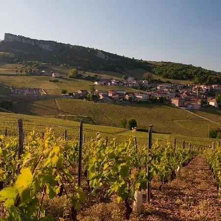 Budget Glamping Safaritent - La Grappe Fleurie