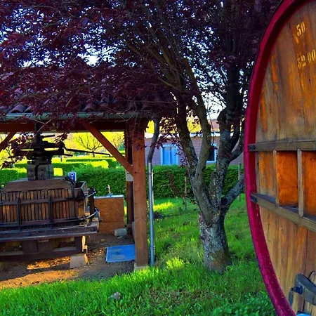 Luxury tent Budget Glamping Safaritent - La Grappe *